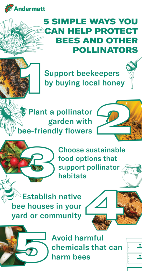 infographie sur la journée de l'abeille 2024 1