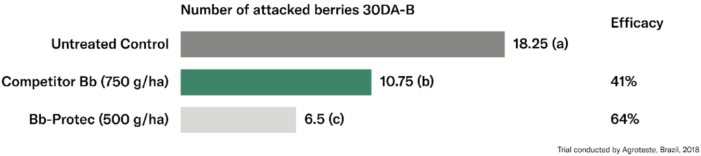 coffee fig 1